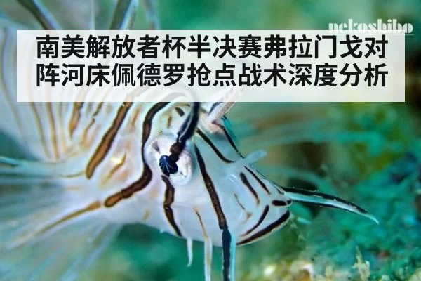 南美解放者杯半决赛弗拉门戈对阵河床佩德罗抢点战术深度分析